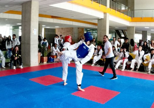Torneo Universitario de Taekwondo