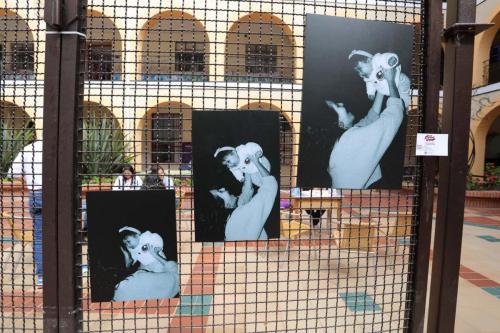 Exposición de arte1
