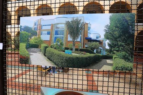 Exposición de arte4