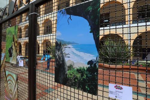 Exposición de arte9