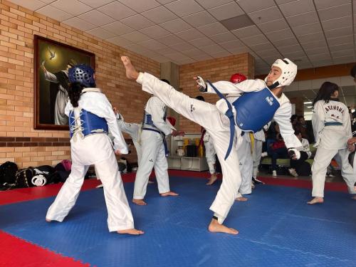 Festival Taekwondo2