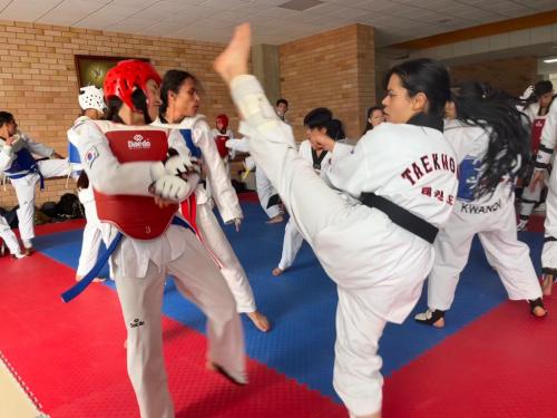 Festival Taekwondo3