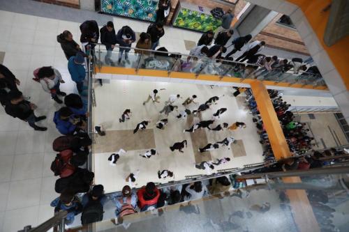 Festival danza urbana8